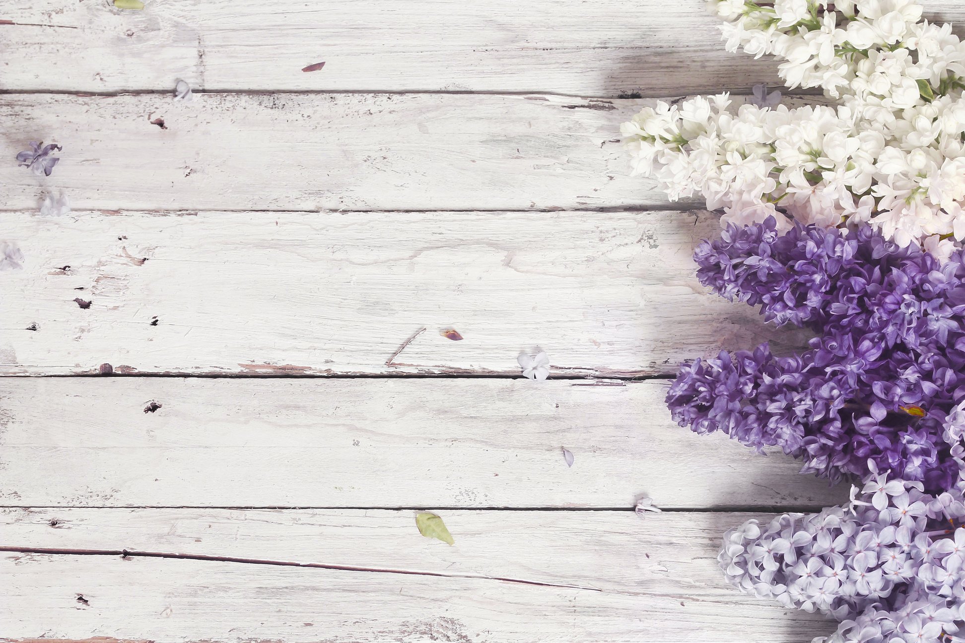 wood background with lilac flowers